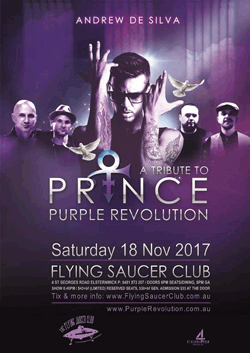 A Tribute to Prince Purple Revolution