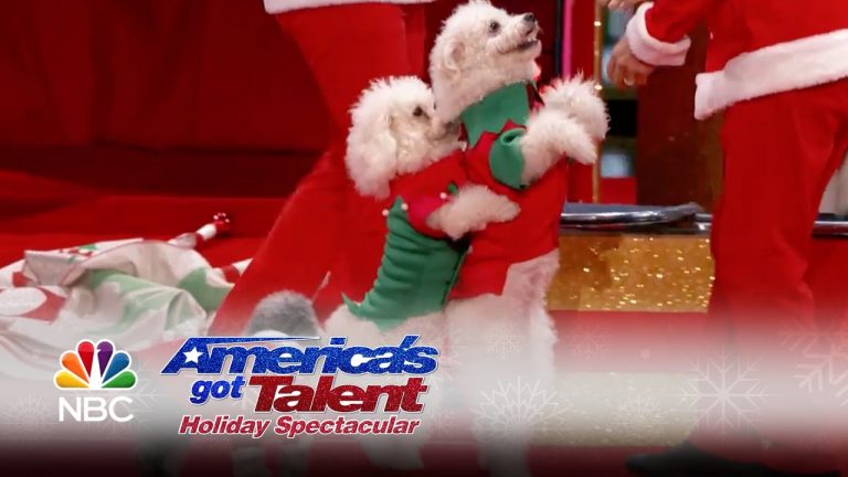 America’s Got Talent 2016 – Olate Dogs: Dogs Do Flips and Perform Holiday Tricks