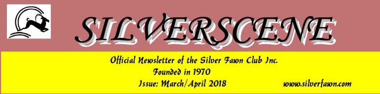 Silverscene – The Club for Good Times in Brisbane
