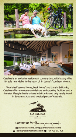 Elanka Catalina New Banner Ad Jpg 250 Px Width X 450px Height 5