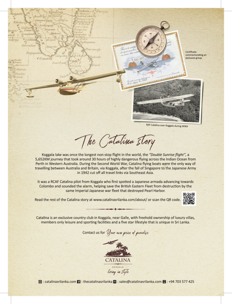 The Catalina Story