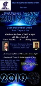 Blue_elephant_New_Years_Eve_2018