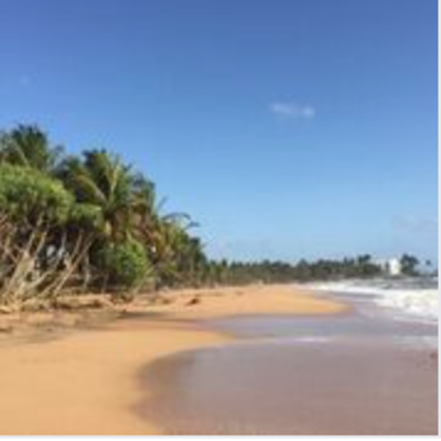 Bentota Beach