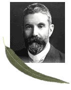 Alfred Deakin