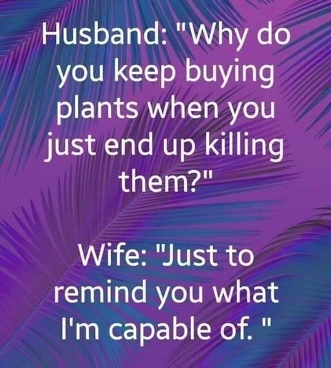 Marriage