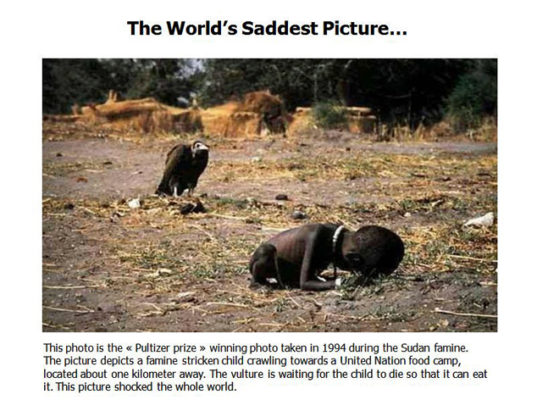 World's saddest picture