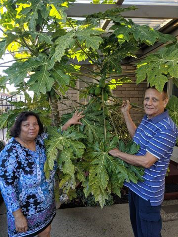 Green fingers