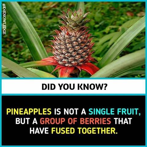 I didn’t know