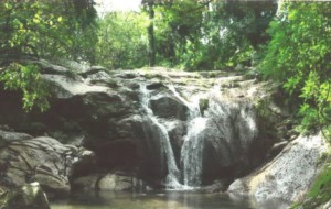 Land Sale & Ecolodge Resort Tourist Project – Sri Lanka