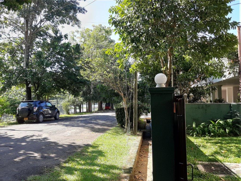 eLanka lotus_grove_dehiwala_01 eLanka