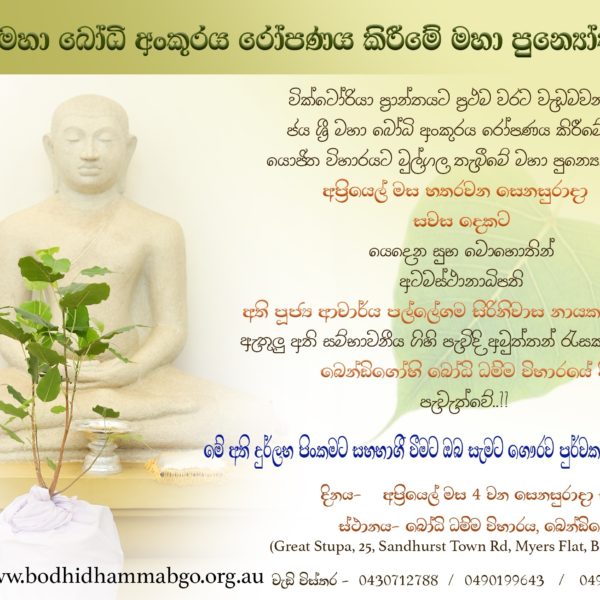 Sacred Jaya Sri Maha Bodhi Sapling -Planting Ceremony Bendigo
