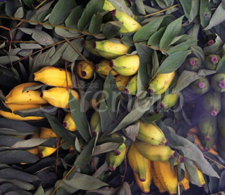 bananas at a Sri Lankan village