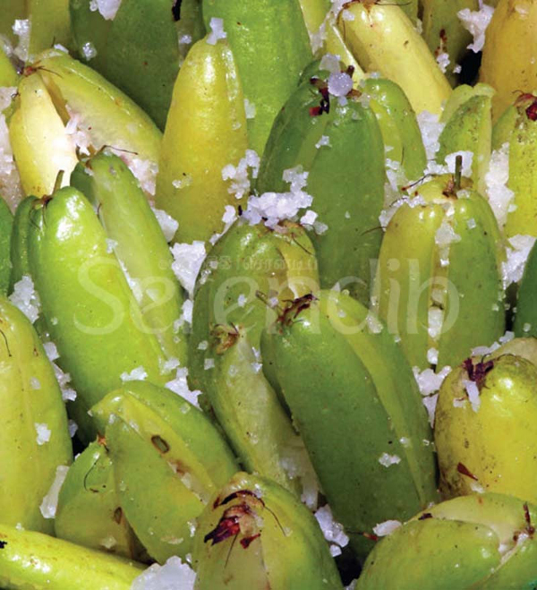  biling fruits mixed with rock salt