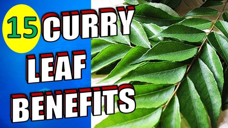 15 Incredible Benefits of Curry Leaves