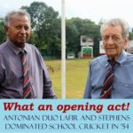 antonian_cricket