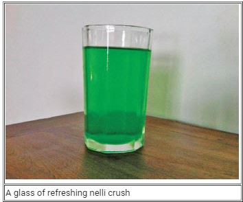 A glass of refreshing nelli crush