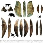 Bone technology of Fa-Hien Lena.