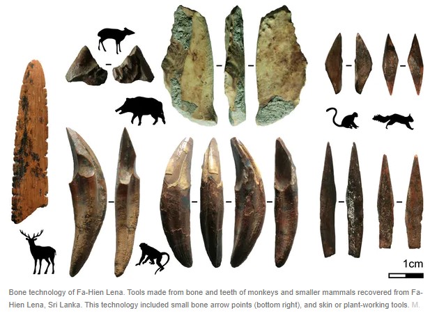 Bone technology of Fa-Hien Lena.