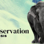 Conservation in crisis
