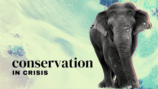 Conservation in crisis