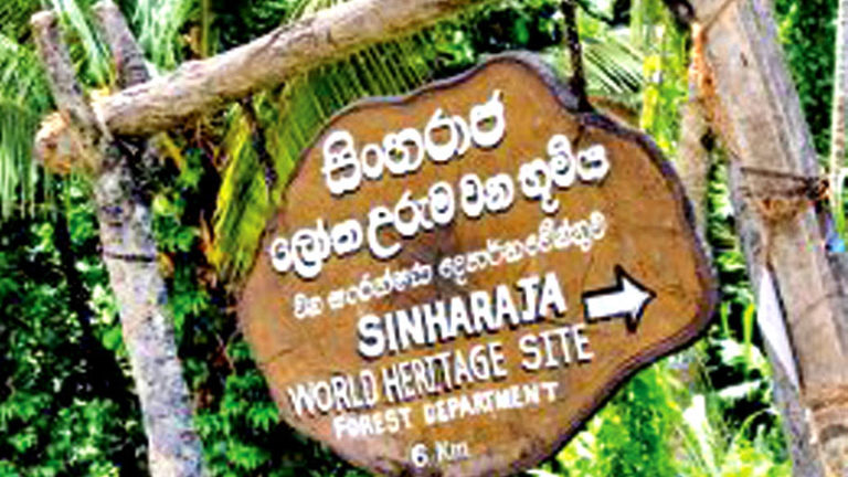 Sinharaja Forest: A natural, national treasure: by RAJA WAIDYASEKERA
