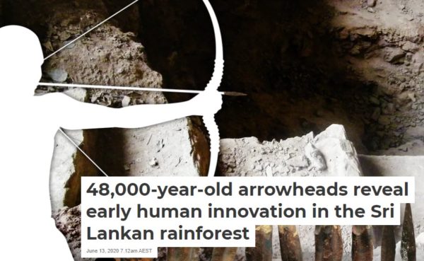 the Sri Lankan rainforest