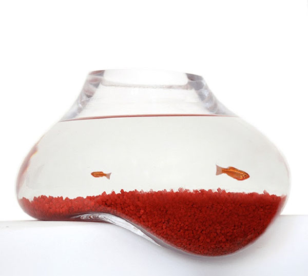 12. Bubble tank 