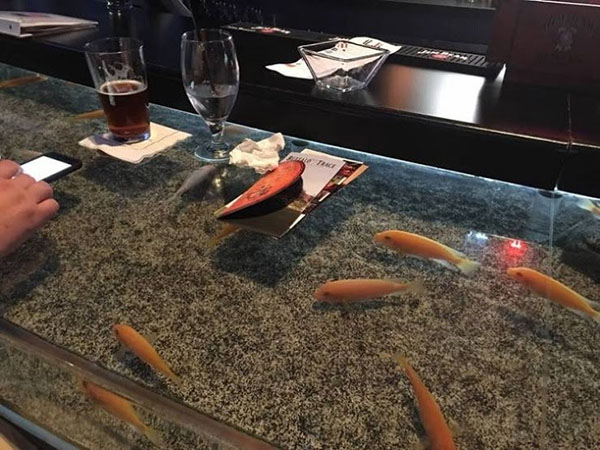 15. This Bar with an Integrated Aquarium