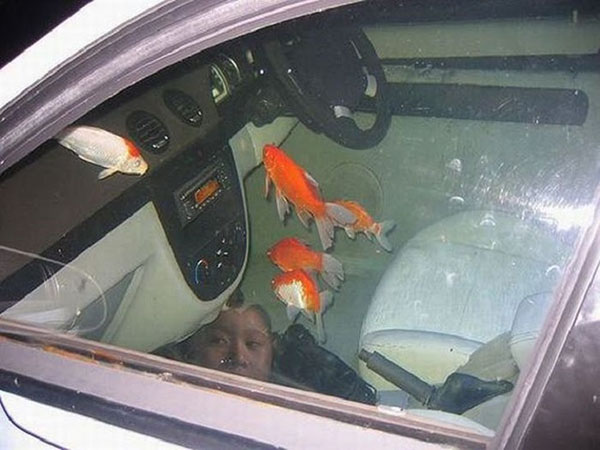 20. An Aquarium built into a car 