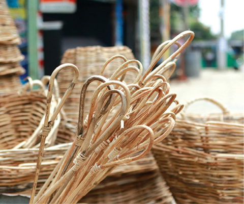 Cane industry & furniture in Sri Lanka