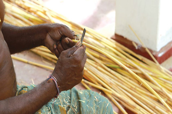 Cane industry & furniture in Sri Lanka