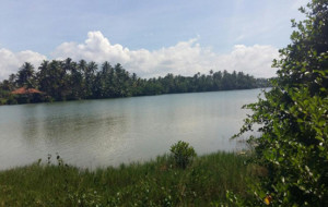 Kosgoda Sri Lanka Beach  Lagoon frontage land for SALE
