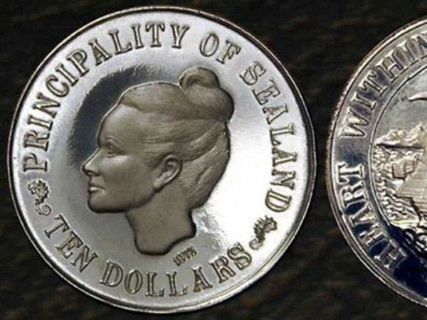 The coins featuring Princess Joan's picture.