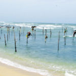 stilt fishing in Koggala