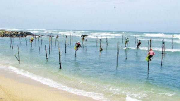 stilt fishing in Koggala