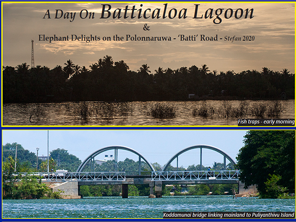 A Day On Batticaloa Lagoon & Elephant Delights on the Polonnaruwa – ‘Batti’ Road – Stefan 2020