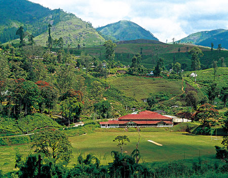 THE HISTORY OF TEA AND CRICKET IN SRI LANKA - BY David Colin Thome