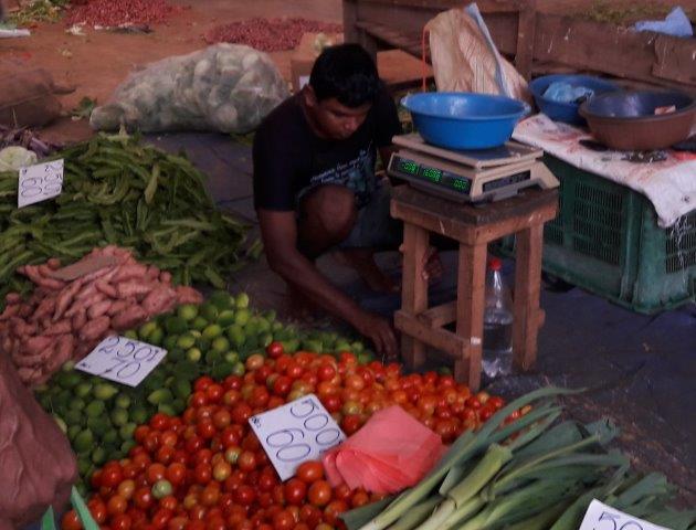 Vegetable seller