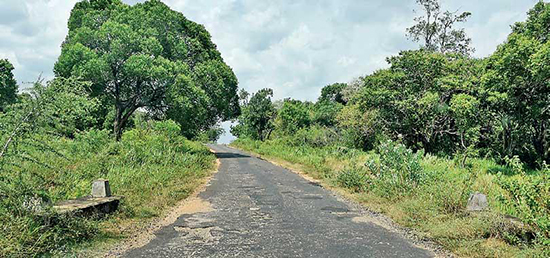 Entering ‘Elephant territory