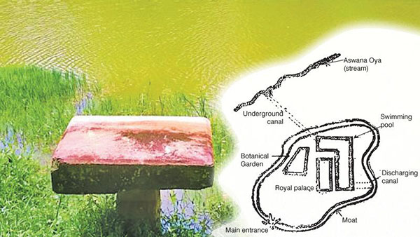 The ground plan of Udugampola sub-kingdom