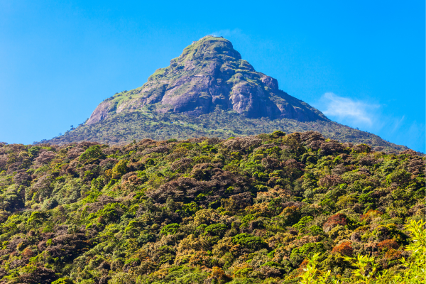 little adam's peak sri lanka