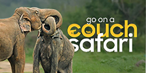 Sri Lanka Wildlife Streaming & Online Communication Campaign for Destination Promotion - Go on a couch safari