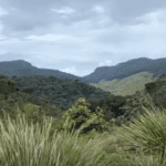 Horton Plains