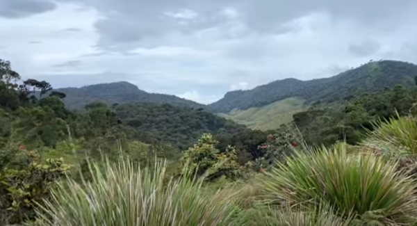 Horton Plains