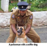 Police dogs