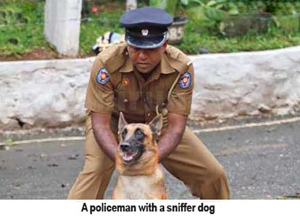 Police dogs