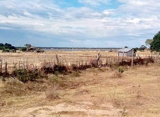 Radalla and Kumbukkan