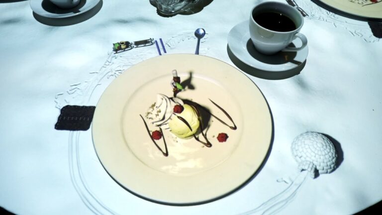 Le Petit Chef