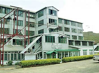 Abbotsleigh tea factory 