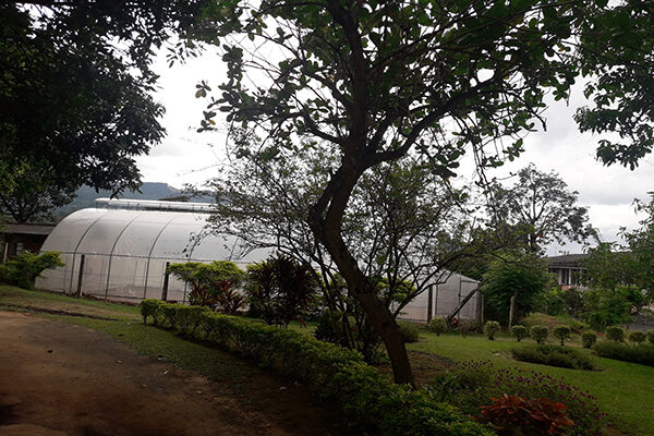 Gannoruwa Agro Technology Park - alluring edible landscaping By Arundathie Abeysinghe